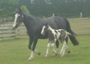 ABBY AND BABY